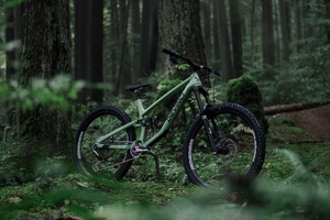 Devinci Troy