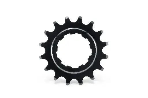 Single-speed cog